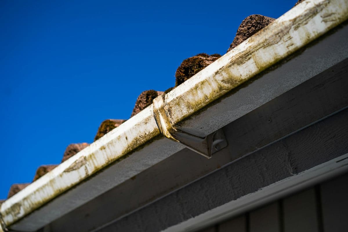 Roof gutter in need of clearing against a blue sky